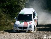 arad2012_zi1_036
