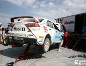 tarabarsei2012_shake_039