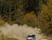 Tess-Rally-2019-Adi-Ghebaur-PS1-010