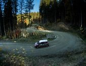 Raliul-Brasovului-2019-RallyArt-Galerie-foto-016