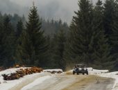 Winter-Rally-Covasna-2020-03