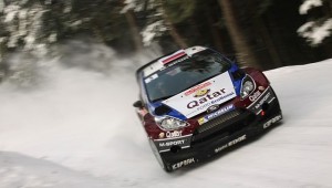 Monte2013_zi2_2