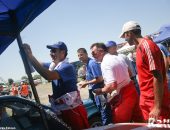 cnsp_et3_074