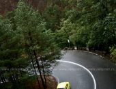 cnvcpaltinis_zi1_028
