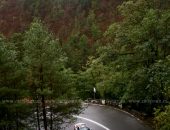 cnvcpaltinis_zi1_029