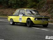 cnvcpaltinis_zi1_robb-52