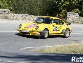 cnvcpaltinis_zi2_robb-35