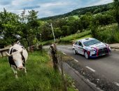 Galerie-Foto-Raliul-Maramuresului-2021-RallyArt-67