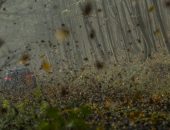 Rally-Hungary-2020-Galerie-foto-30