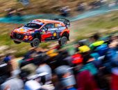 Rally-Portugal-2021-RallyArt-37