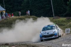 Sibiu Rally 2013 - Prima zi 