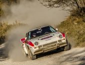 Tess-Rally-2019-Adi-Ghebaur-PS1-003