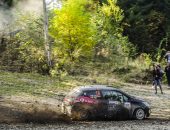 Tess-Rally-2019-Adi-Ghebaur-PS8-005