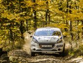 Tess-Rally-2019-Adi-Ghebaur-shakedown-015