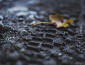 CXF_3335