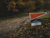 Tess-Rally-Brasov_Attila-Szabo_0012