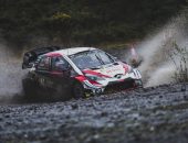 Wales-Rally-GB-2019_Attila-Szabo_0035
