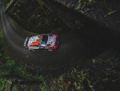 Wales-Rally-GB-2019_Attila-Szabo_0068