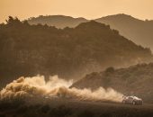 WRC-Rally-Turkey-2019-049