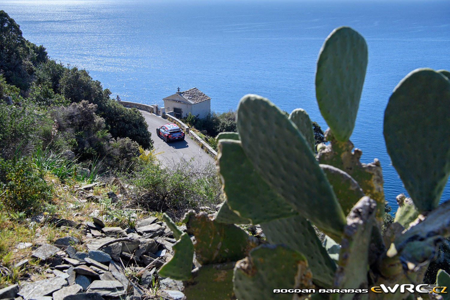 Pronosticuri WRC 2019 ? Rezultate Tour de Corse & Clasament