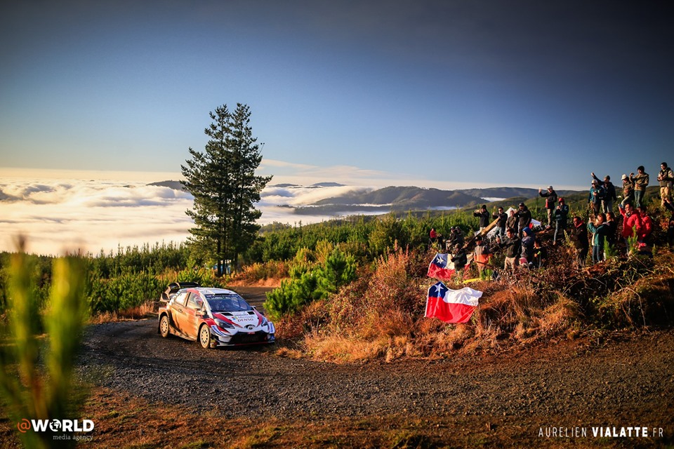 Pronosticuri WRC 2019 ? Rezultate Rally Chile & Clasament General